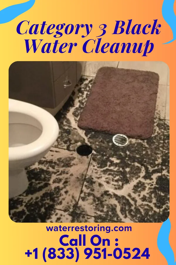 Category 3 Black Water Cleanup in Richland, MS